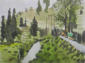 Landscape of Rangli Tea Garden